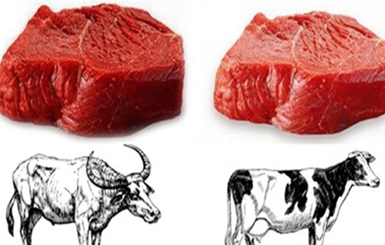 Cách phân biệt thịt trâu và thịt bò